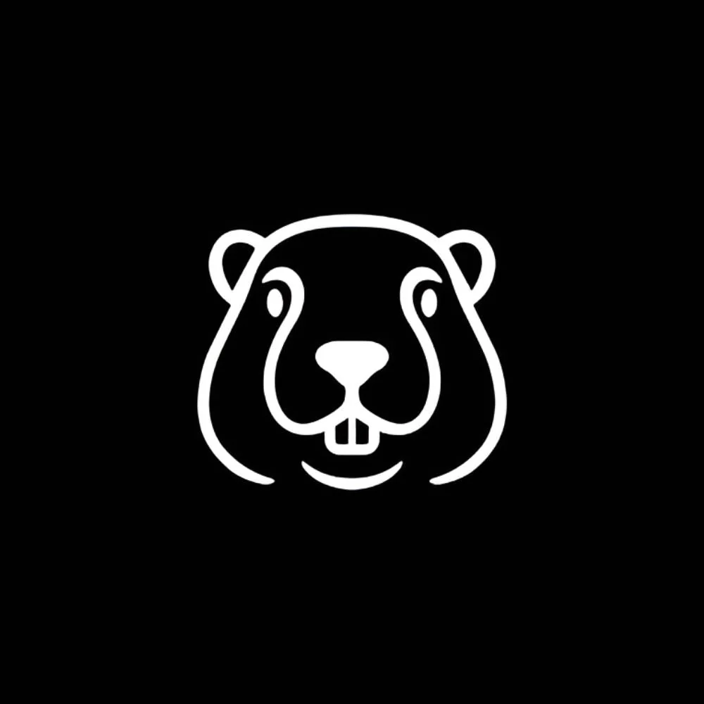 Aitubo Coupons and Promo Code