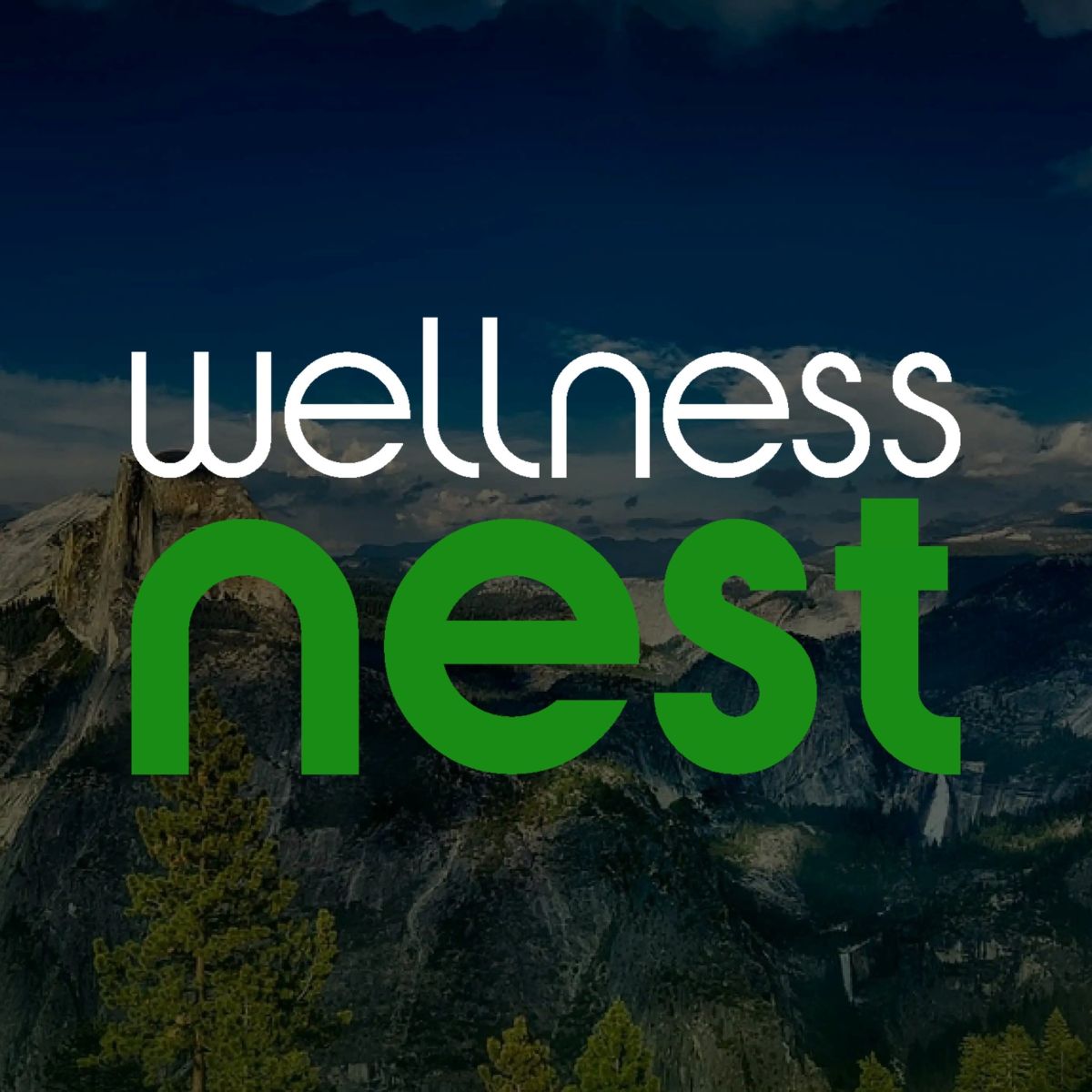 Wellness Nest Coupons and Promo Code
